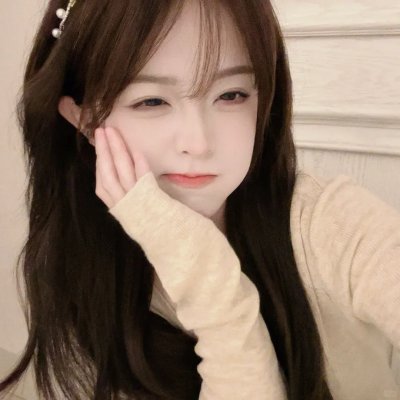 完美伴侣